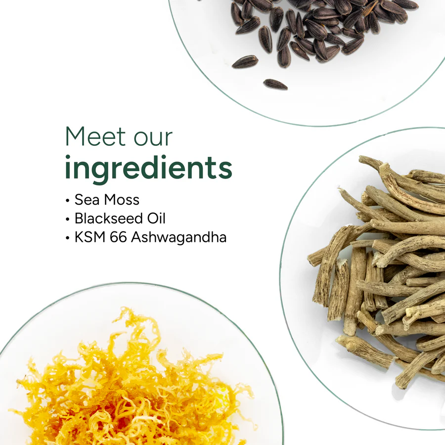 Sea Moss Gummies - Image 4
