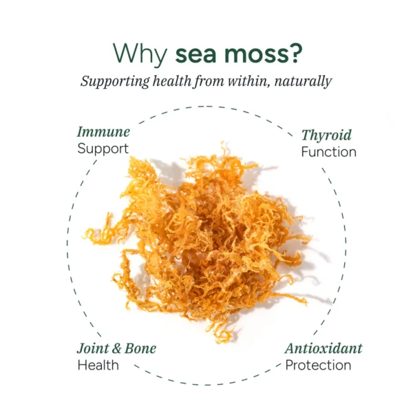 Sea Moss Gummies - Image 5