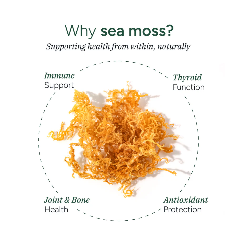 Sea Moss Gummies - Image 5